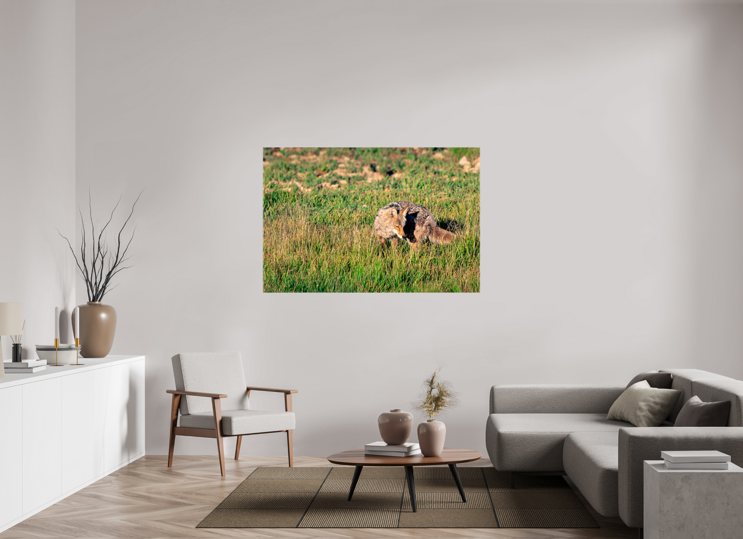 Coyote | Yellowstone National Park Fine Art Print