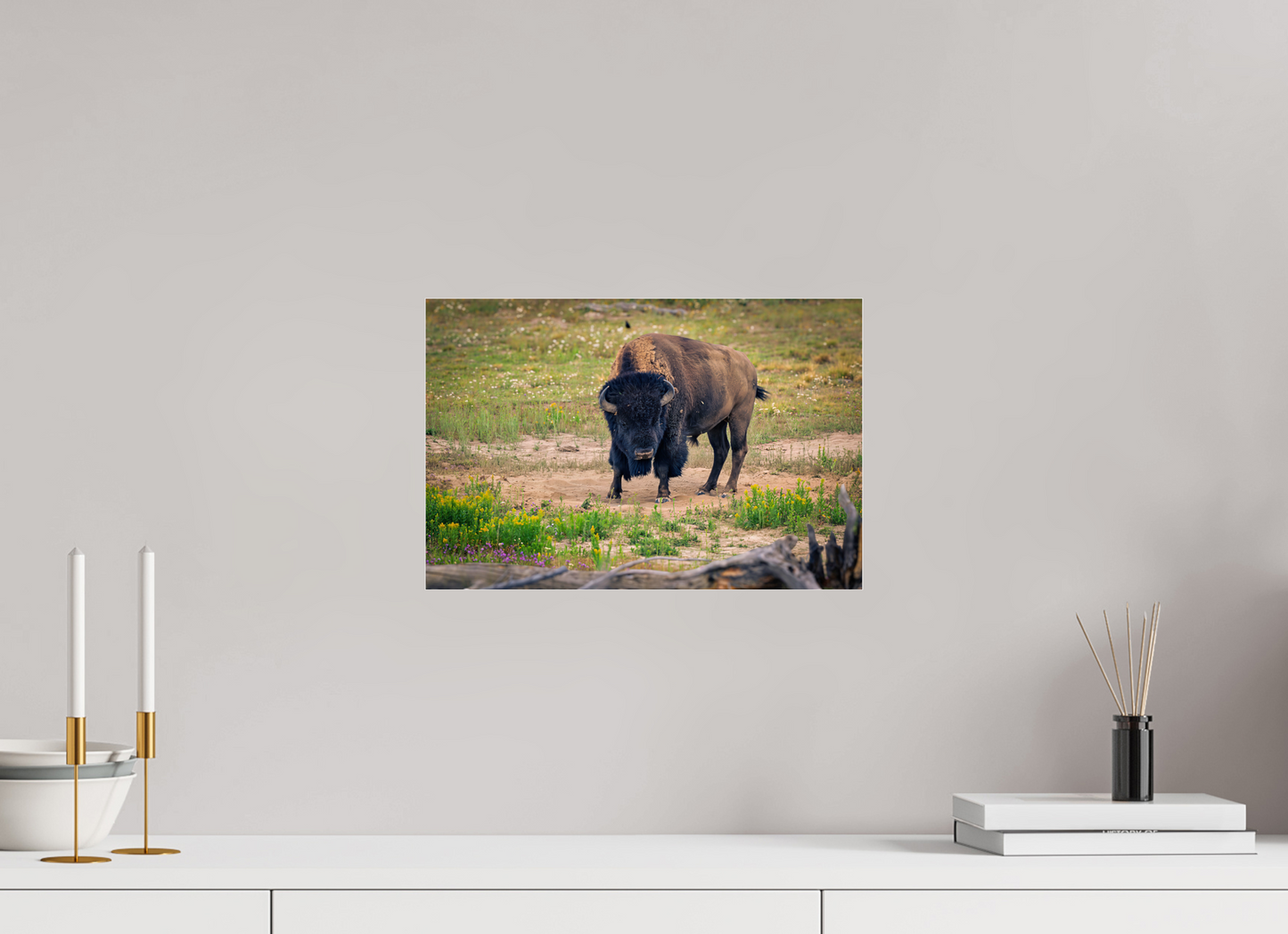 Bison | Yellowstone National Park Fine Art Print