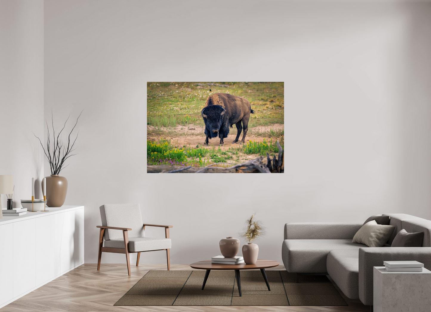 Bison | Yellowstone National Park Fine Art Print