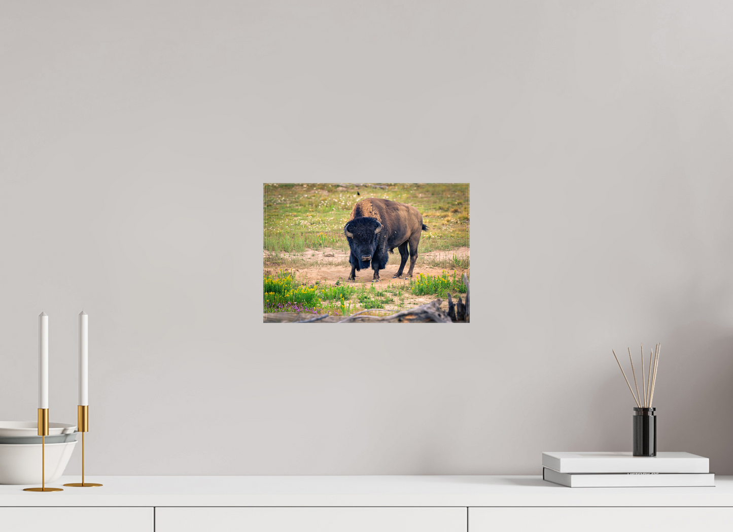 Bison | Yellowstone National Park Fine Art Print
