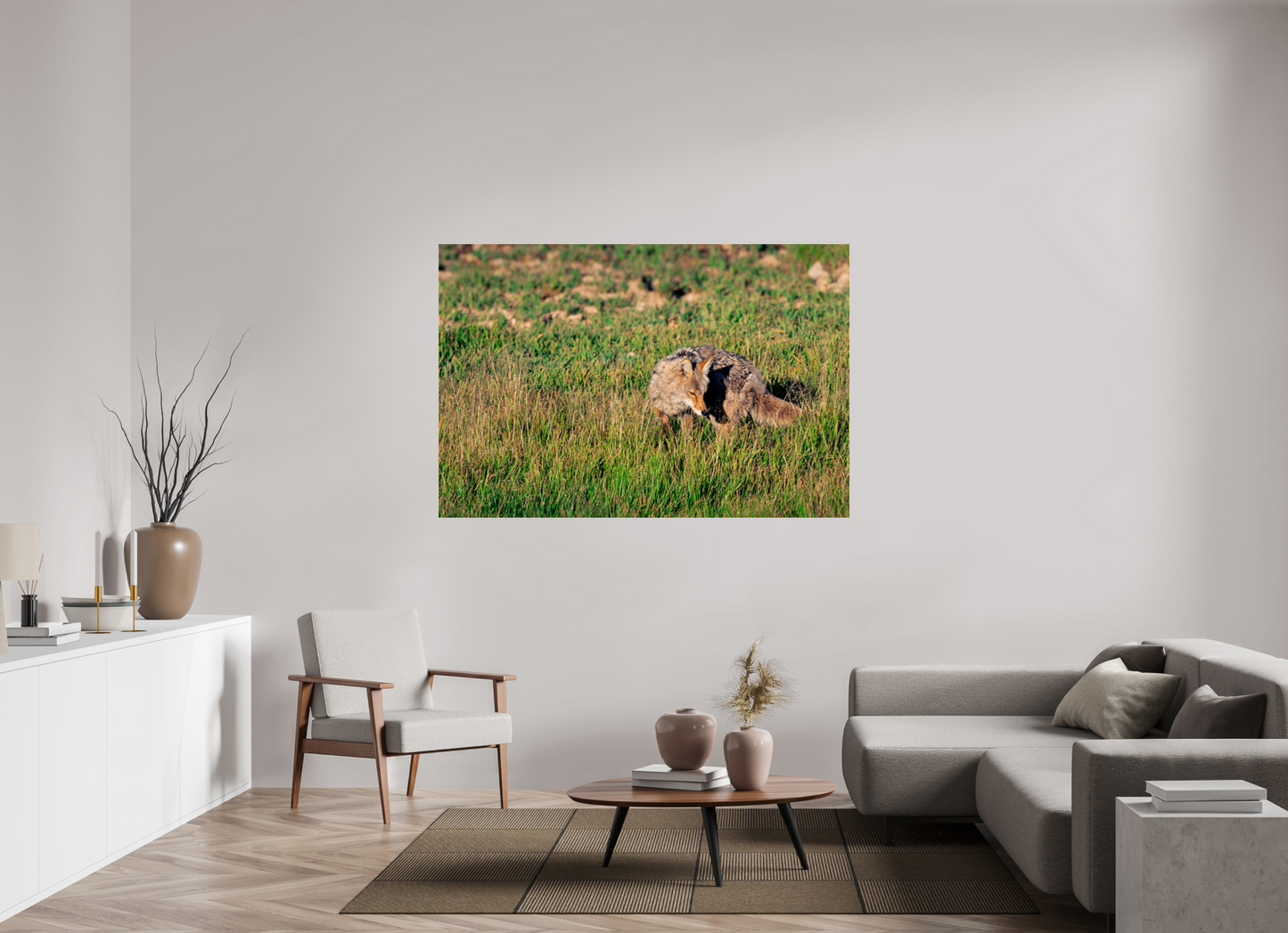 Coyote | Yellowstone National Park Fine Art Print