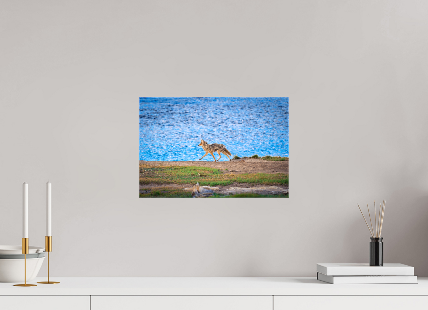 Coyote on the Prowl | Yellowstone National Park Fine Art Print