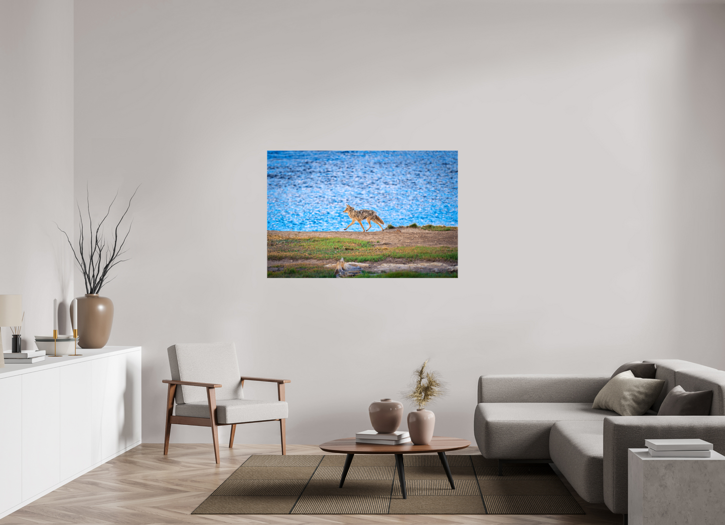 Coyote on the Prowl | Yellowstone National Park Fine Art Print