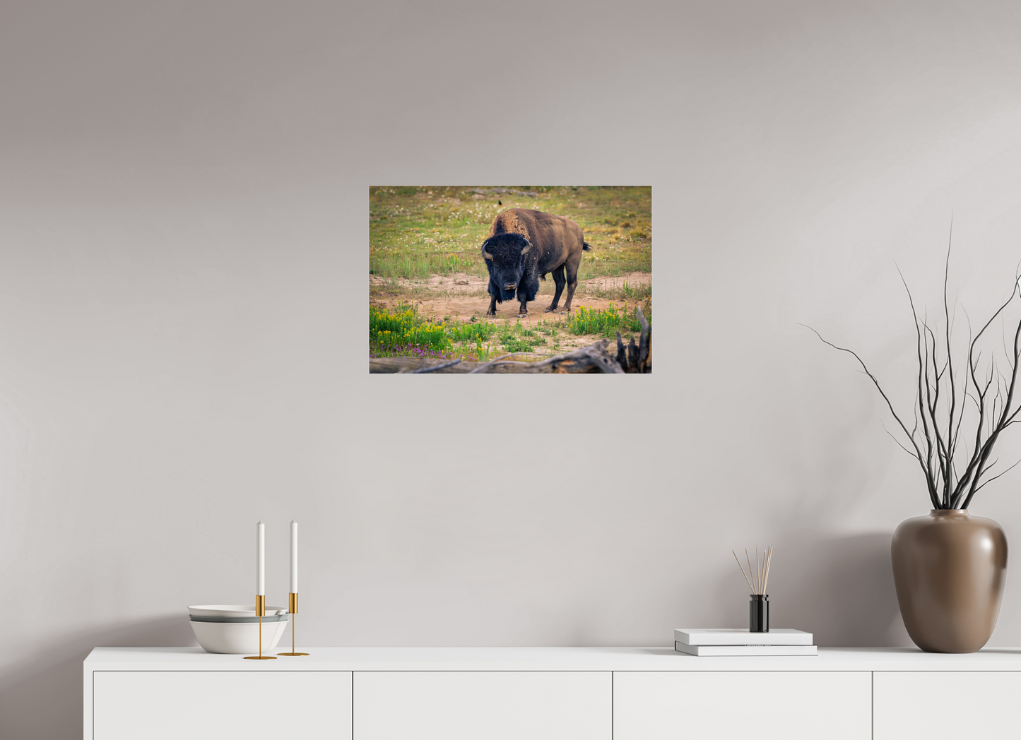Bison | Yellowstone National Park Fine Art Print