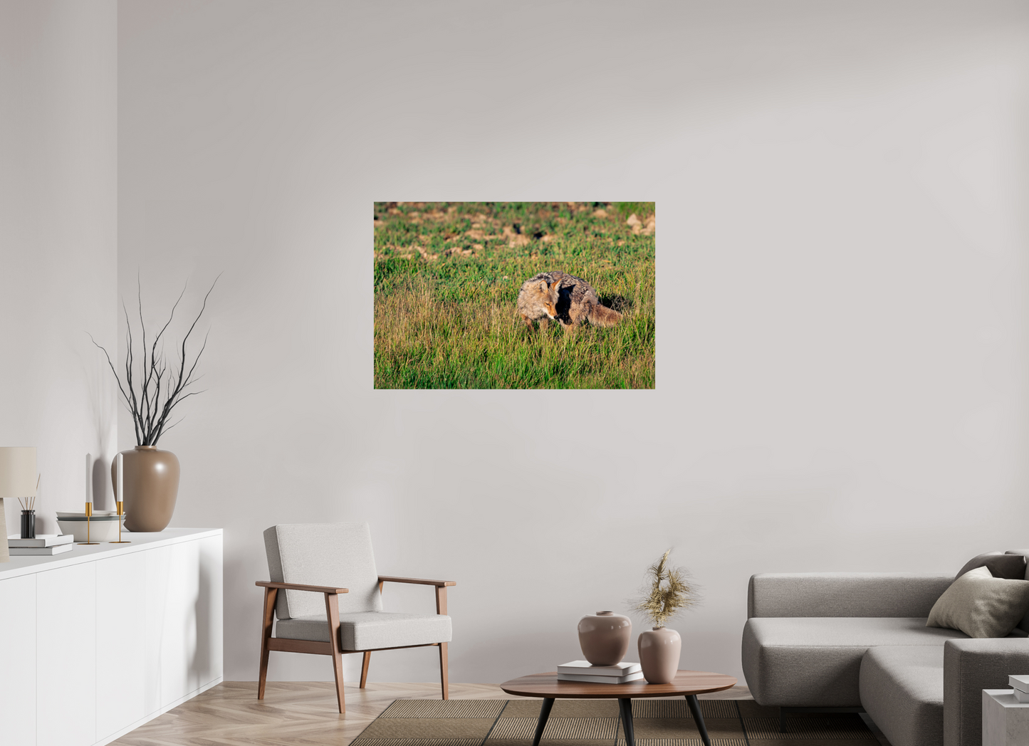 Coyote | Yellowstone National Park Fine Art Print