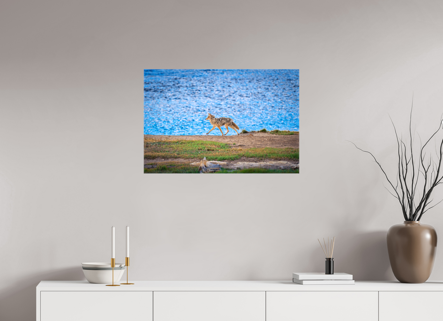 Coyote on the Prowl | Yellowstone National Park Fine Art Print