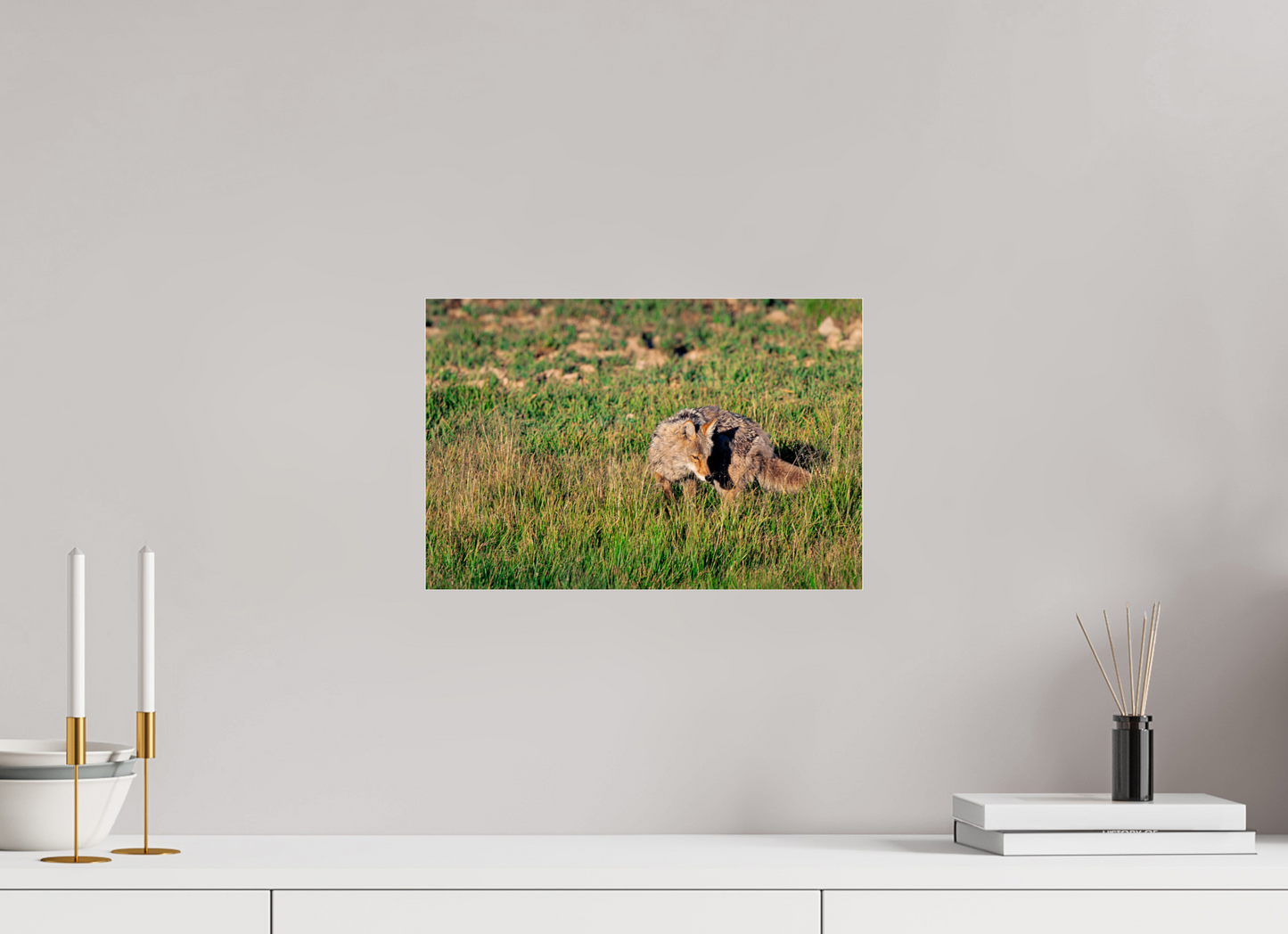 Coyote | Yellowstone National Park Fine Art Print