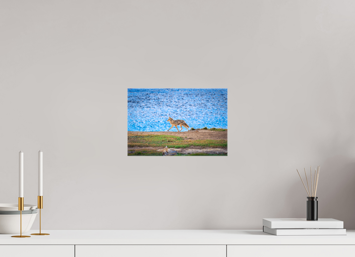 Coyote on the Prowl | Yellowstone National Park Fine Art Print