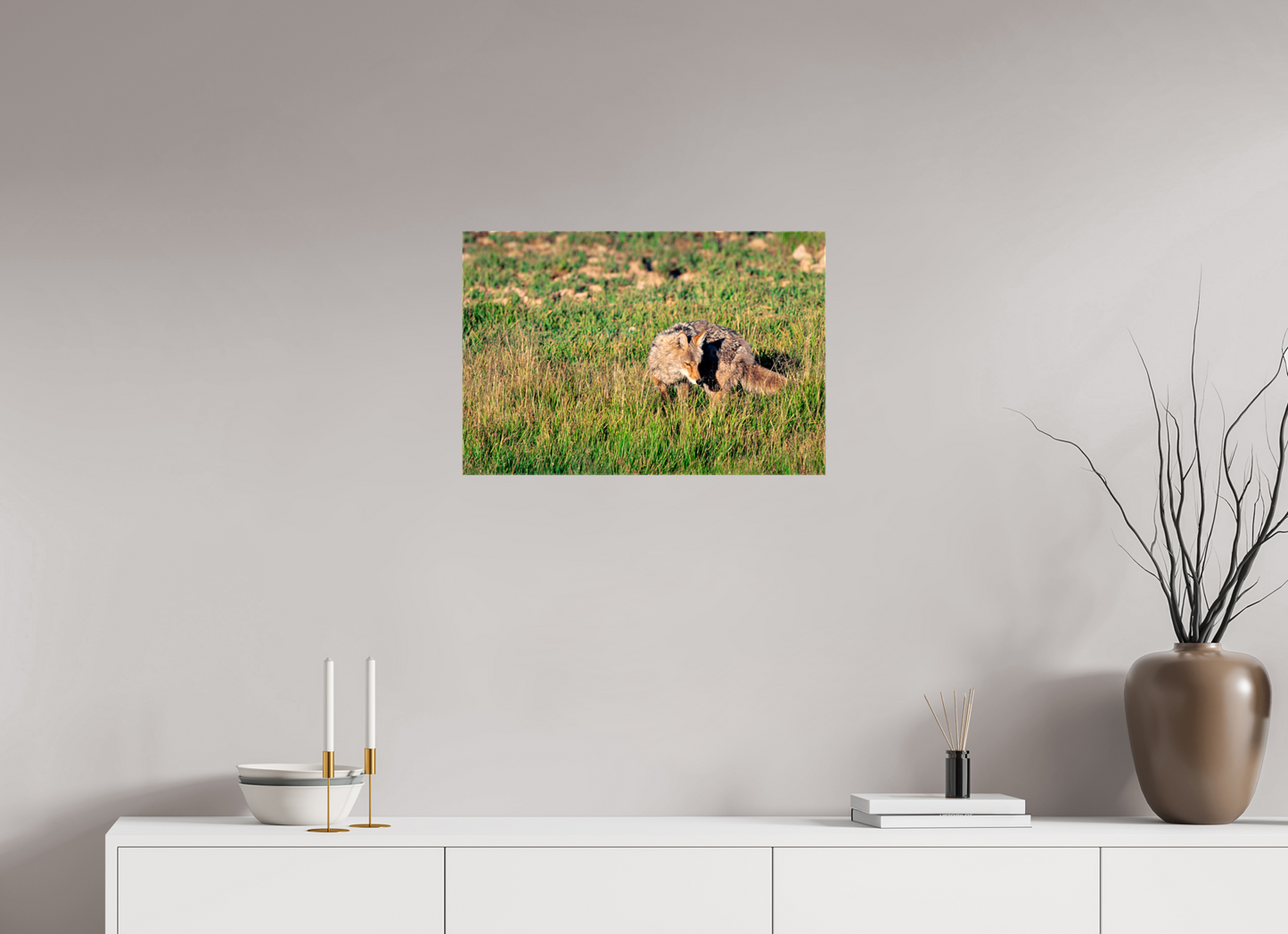 Coyote | Yellowstone National Park Fine Art Print