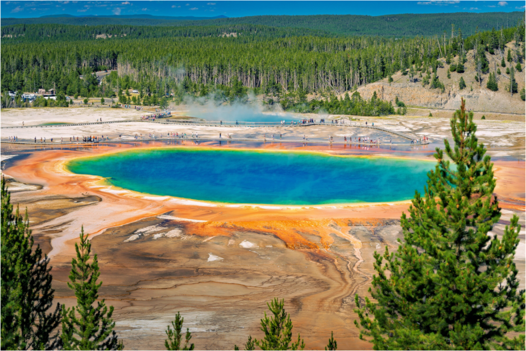 Grand Prismatic Spring | Yellowstone National Park Fine Art Print