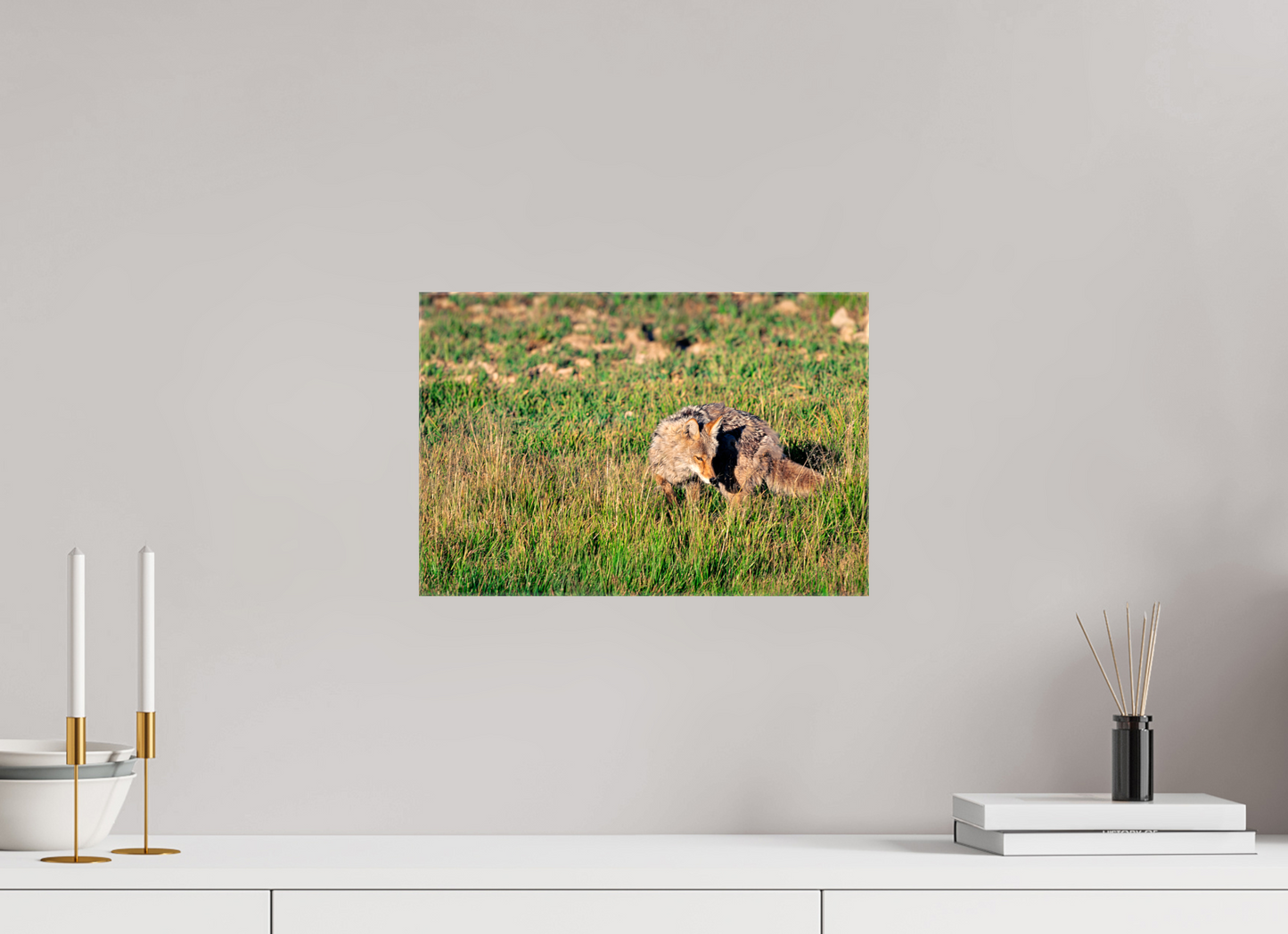 Coyote | Yellowstone National Park Fine Art Print