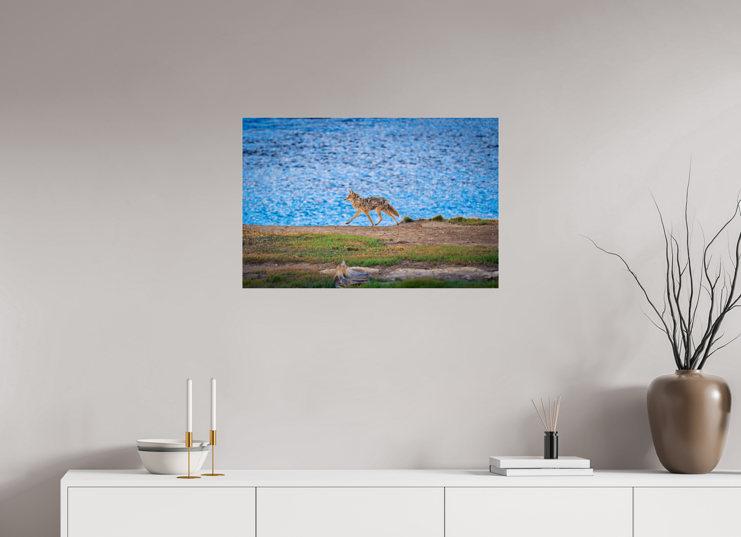 Coyote on the Prowl | Yellowstone National Park Fine Art Print