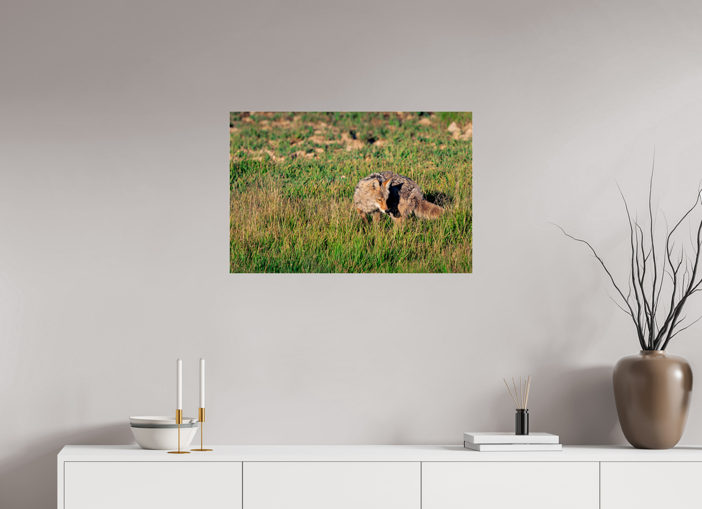 Coyote | Yellowstone National Park Fine Art Print