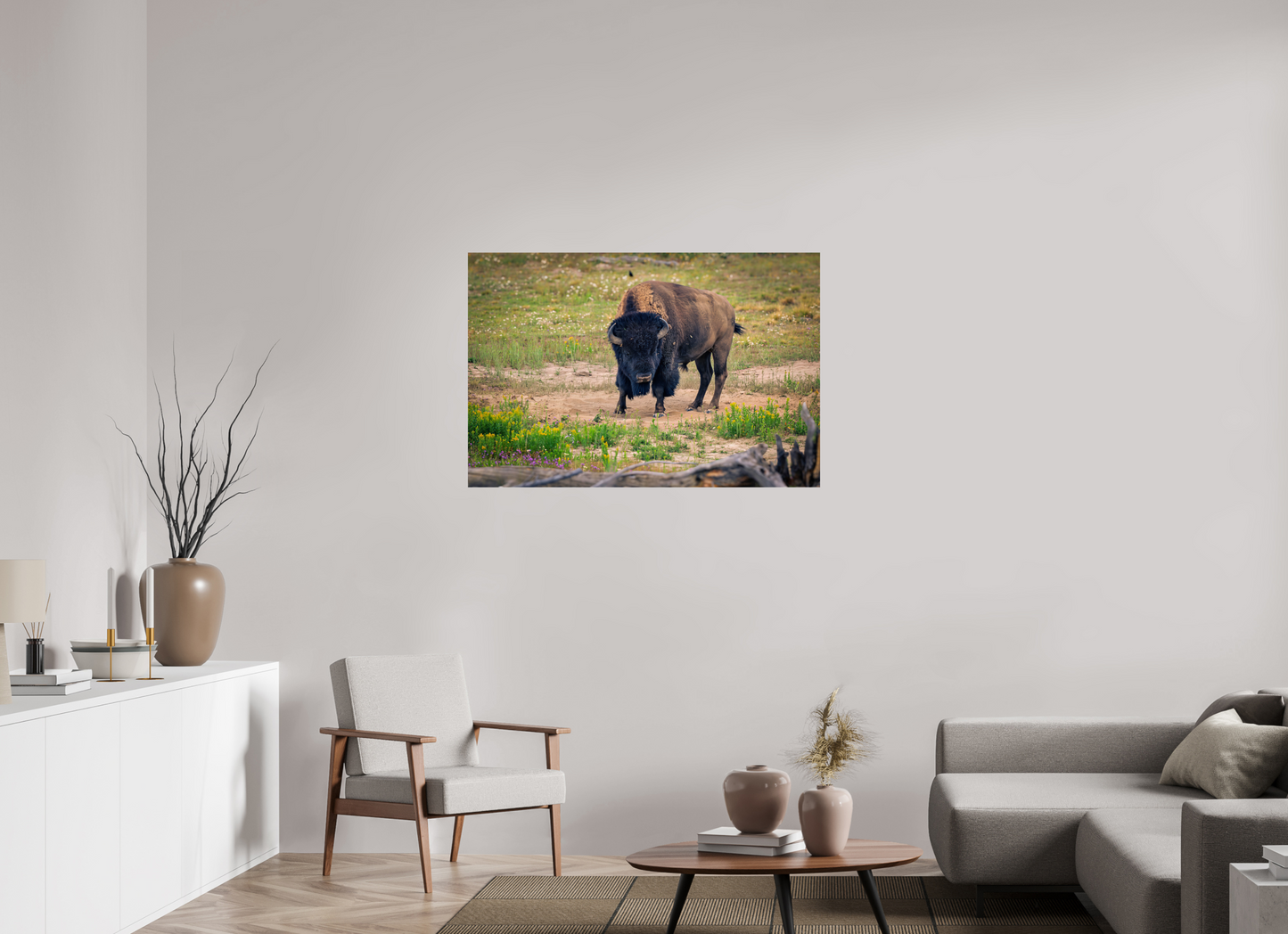 Bison | Yellowstone National Park Fine Art Print