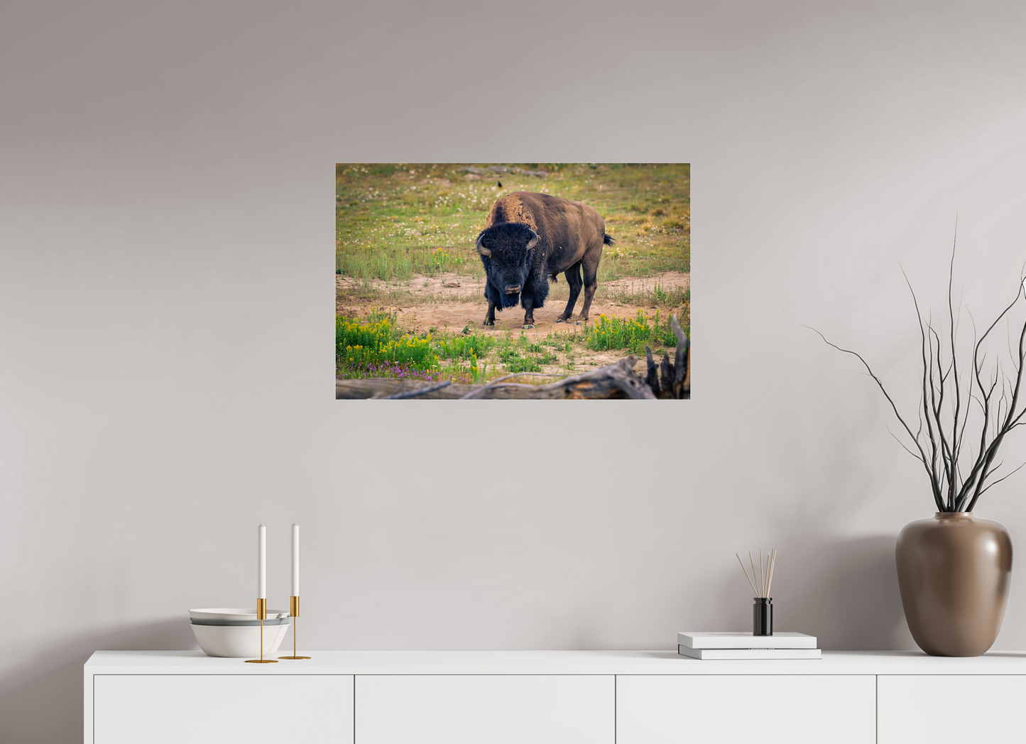 Bison | Yellowstone National Park Fine Art Print