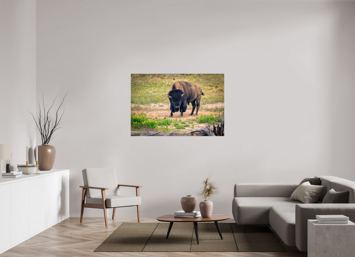 Bison | Yellowstone National Park Fine Art Print