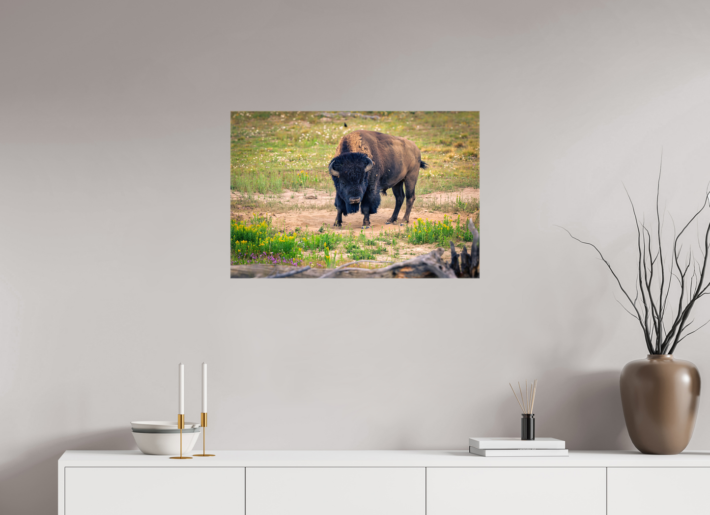 Bison | Yellowstone National Park Fine Art Print