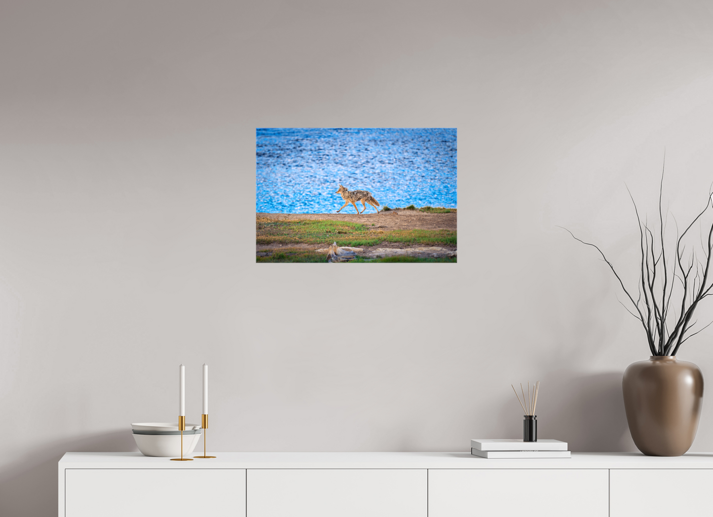 Coyote on the Prowl | Yellowstone National Park Fine Art Print