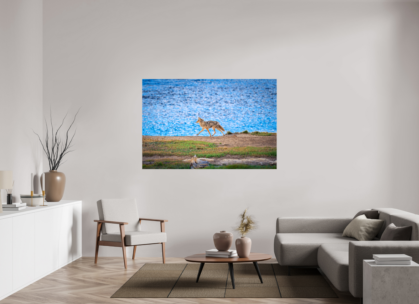 Coyote on the Prowl | Yellowstone National Park Fine Art Print