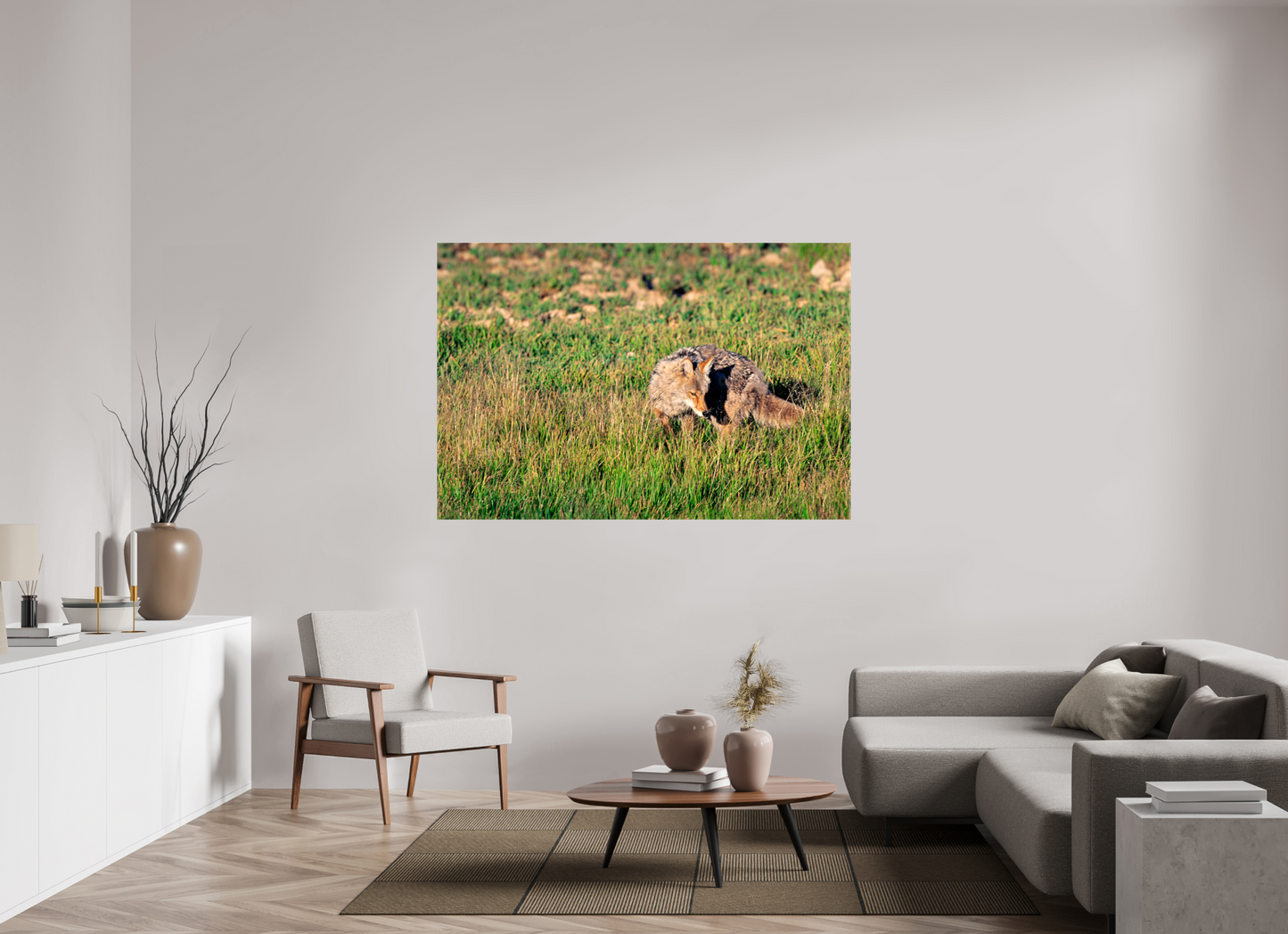 Coyote | Yellowstone National Park Fine Art Print