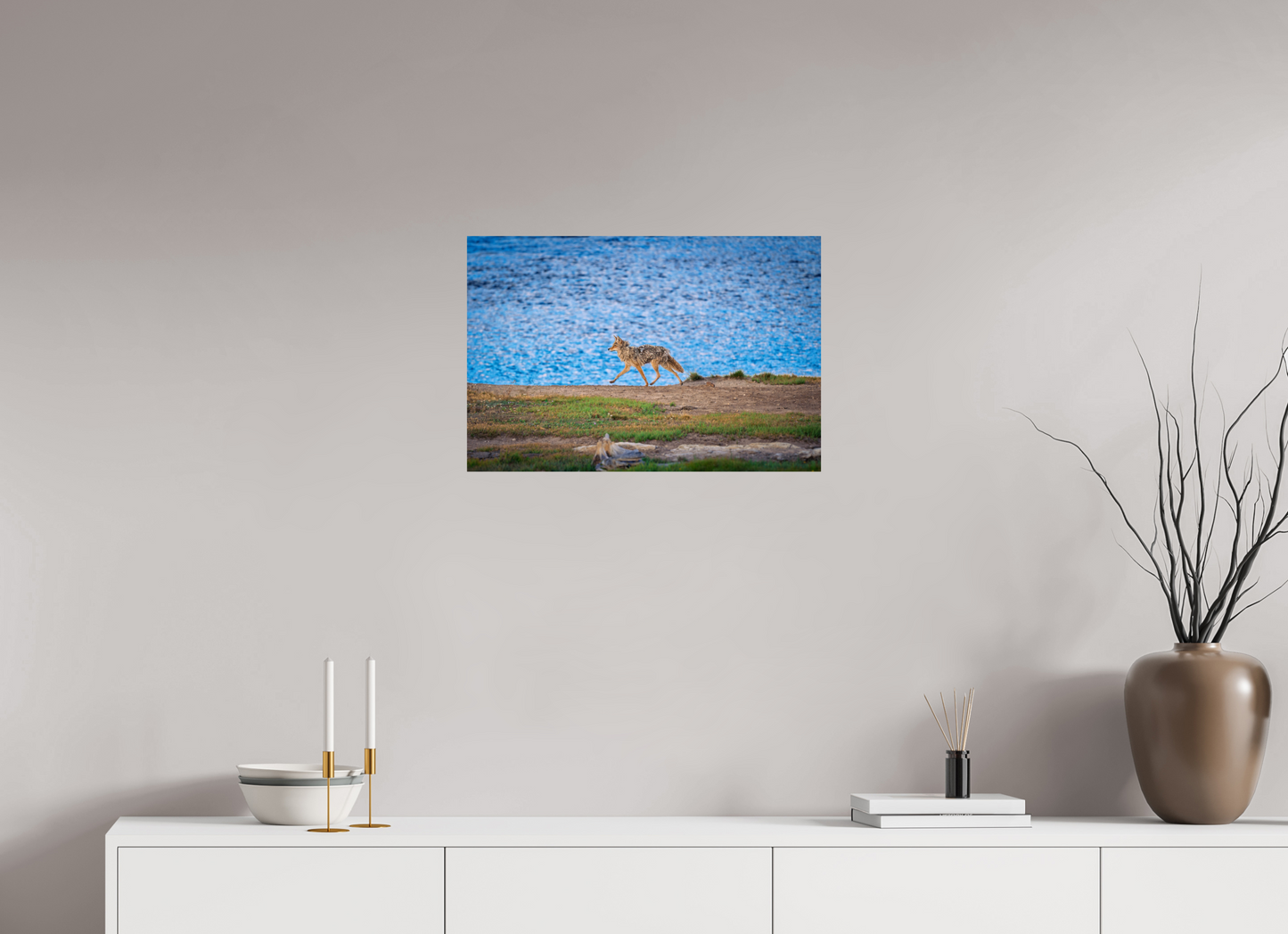Coyote on the Prowl | Yellowstone National Park Fine Art Print