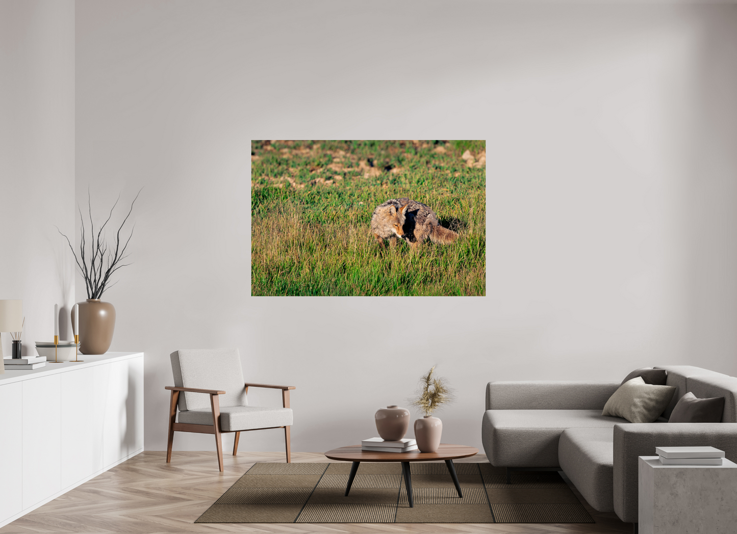 Coyote | Yellowstone National Park Fine Art Print