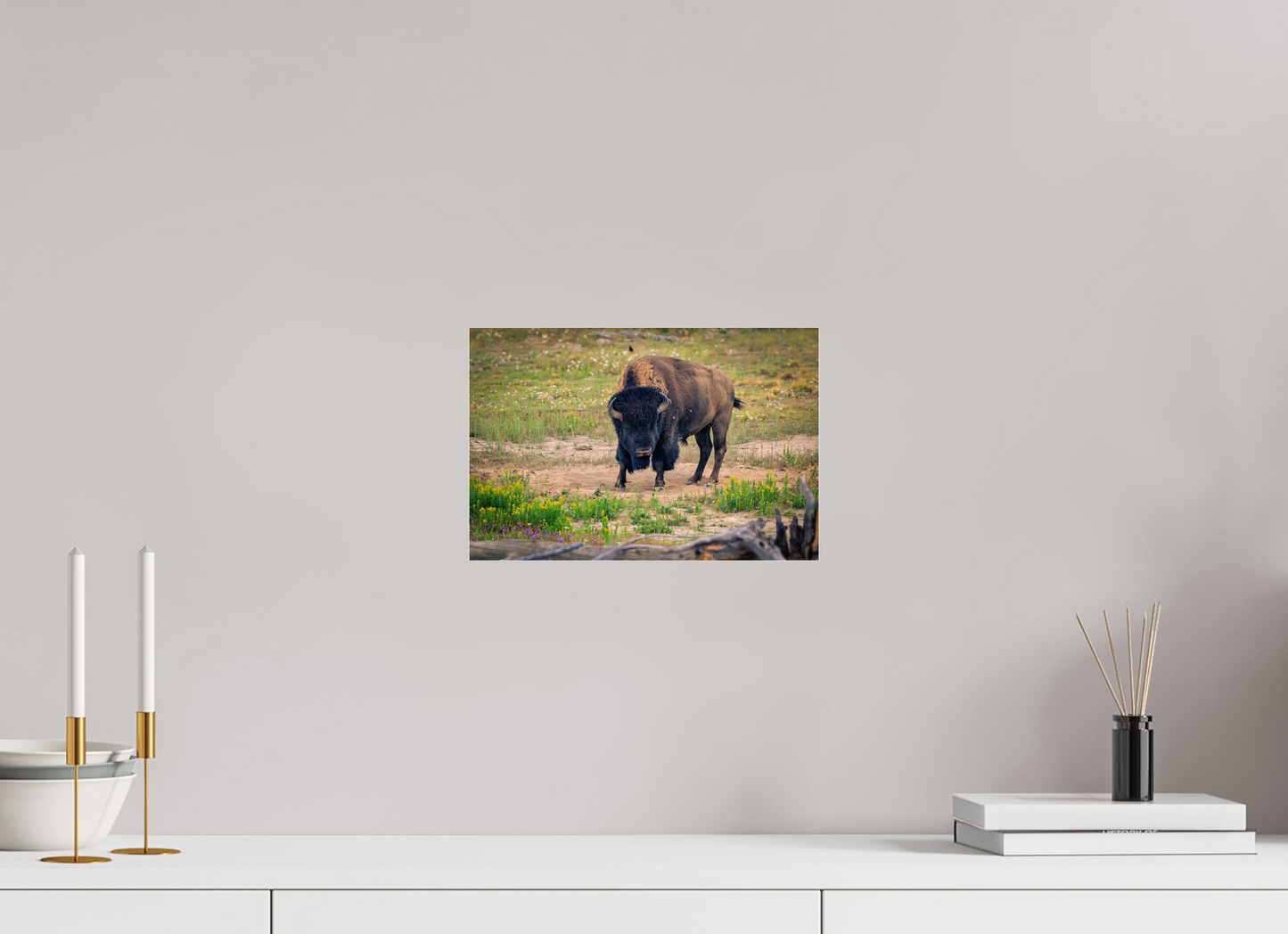 Bison | Yellowstone National Park Fine Art Print