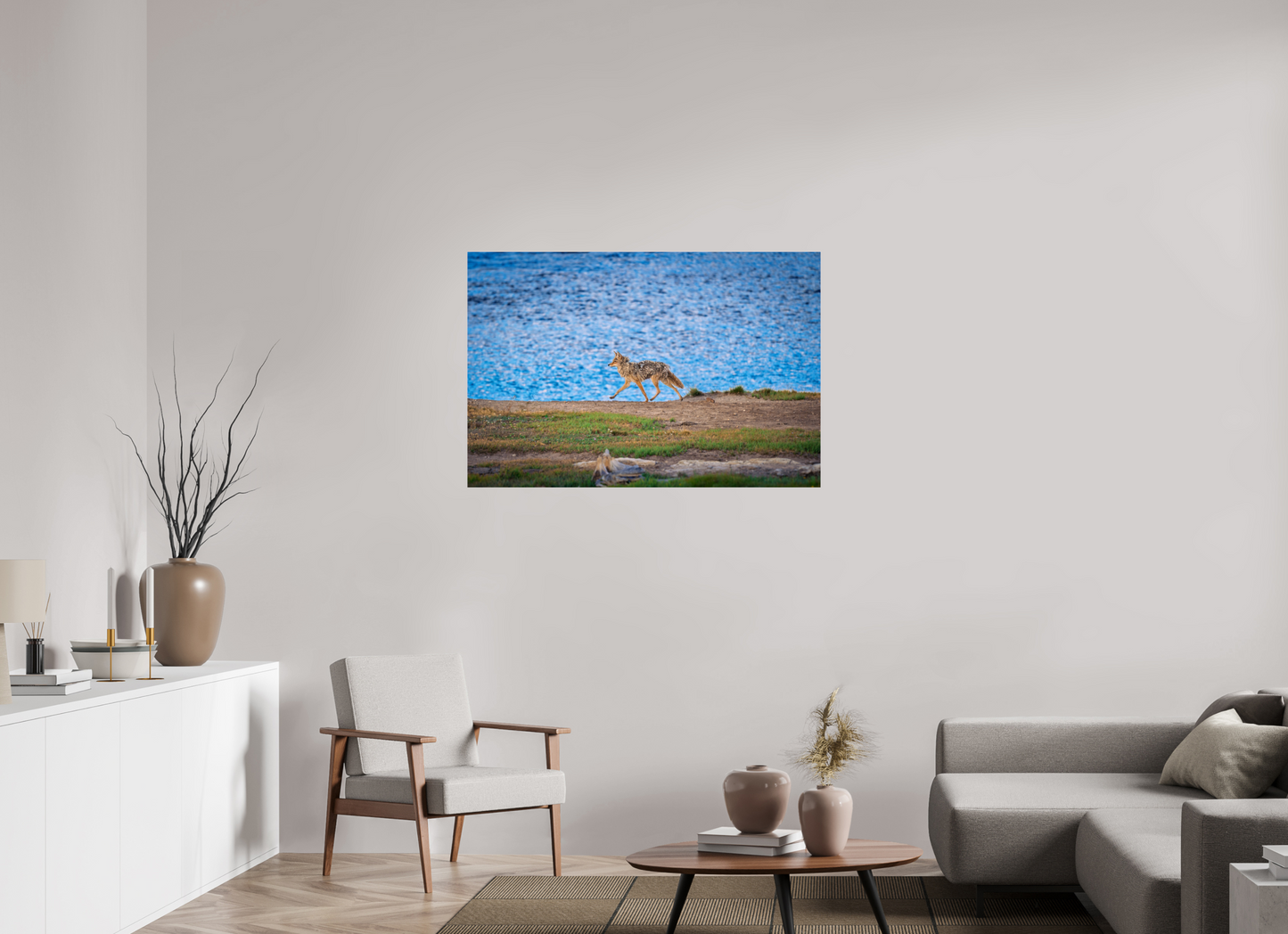 Coyote on the Prowl | Yellowstone National Park Fine Art Print