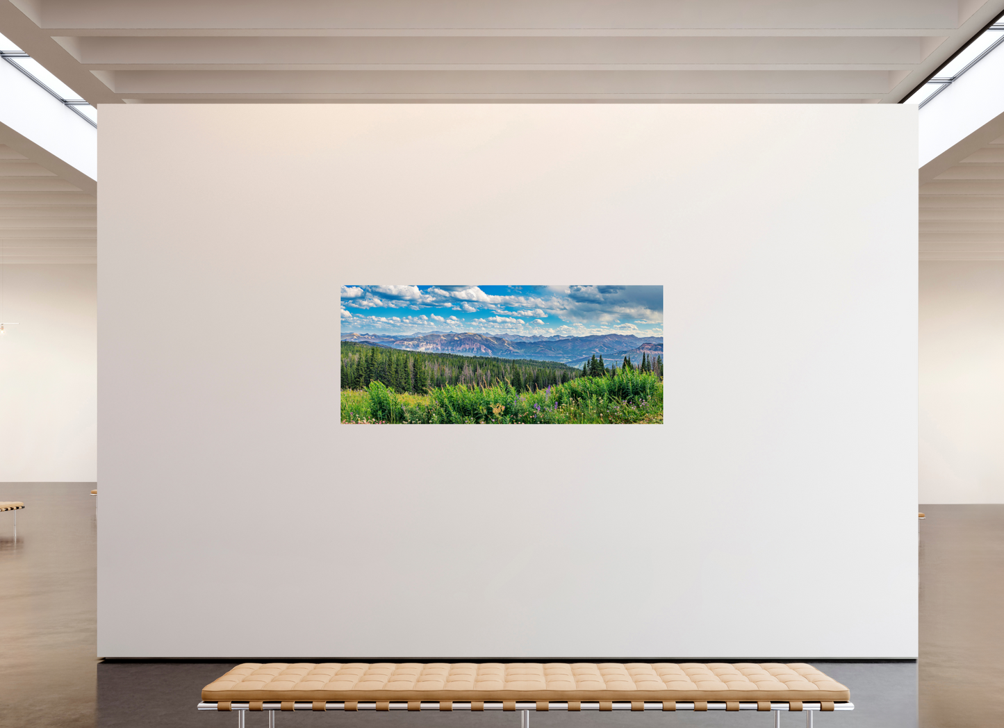 81.3 x 35″, Photo Print Absaroka Vista