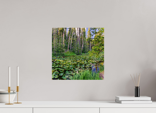 15 x 15″, Photo Print Continental Divide Serenity | Yellowstone National Park Fine Art Print