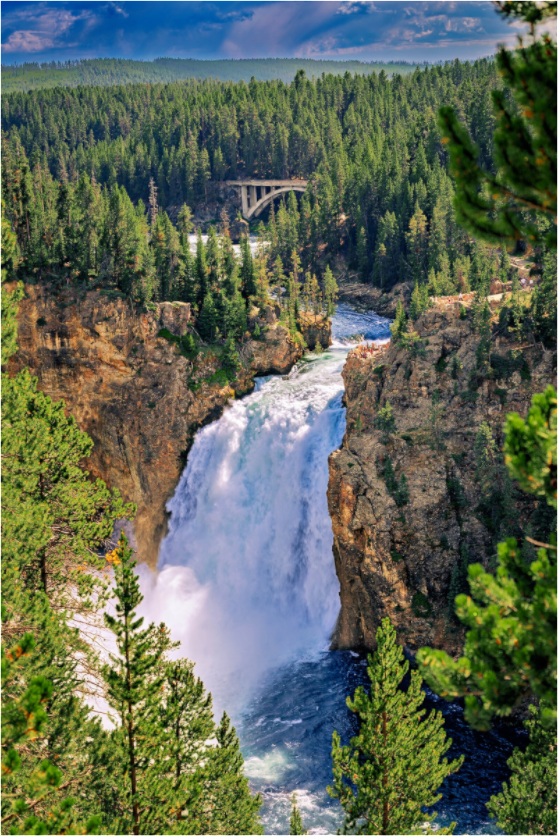 Upper Falls of Yellowstone River | Yellowstone National Park Fine Art Print
