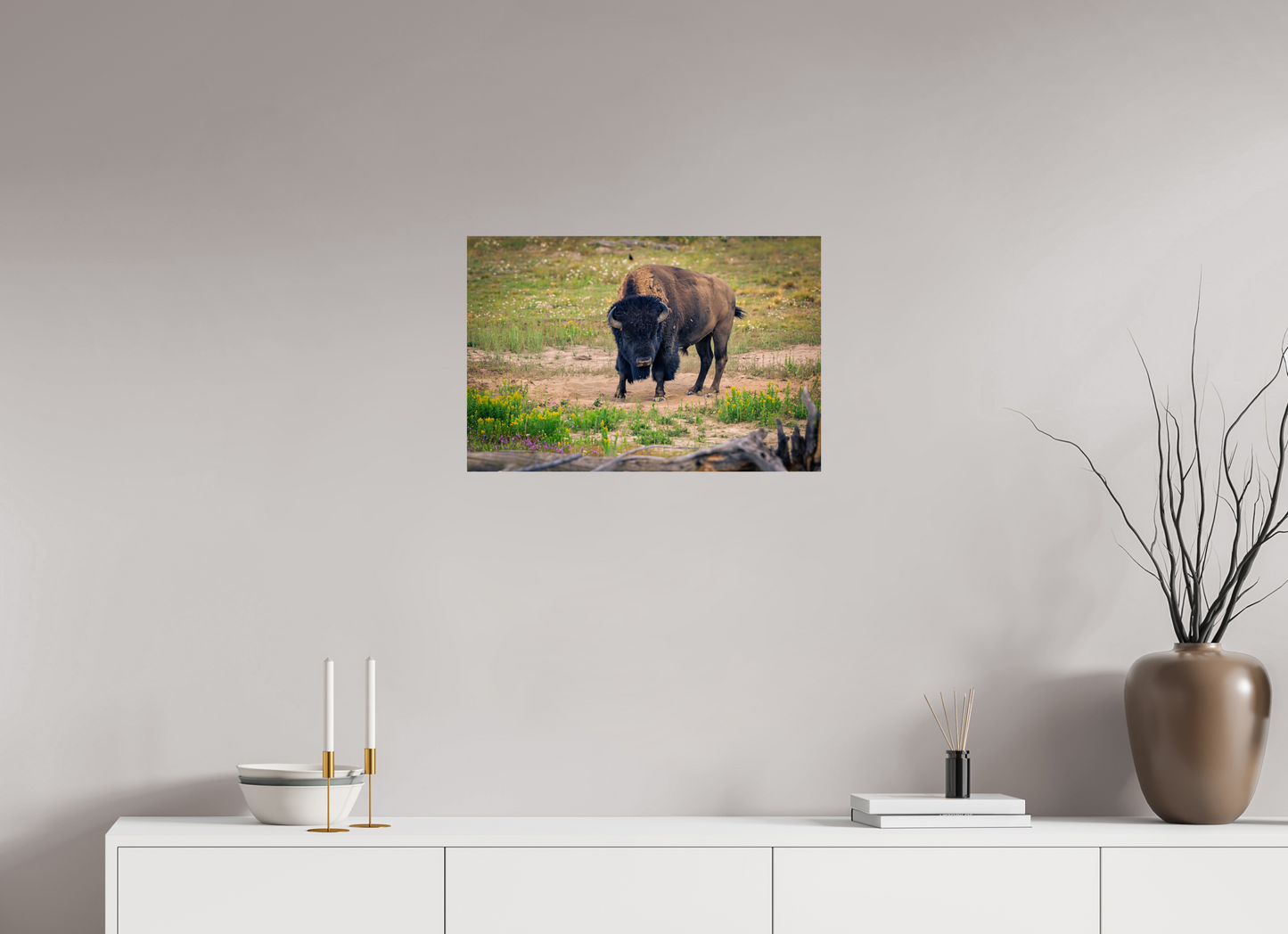 24 x 16″, Photo Print Bison | Yellowstone National Park Fine Art Print