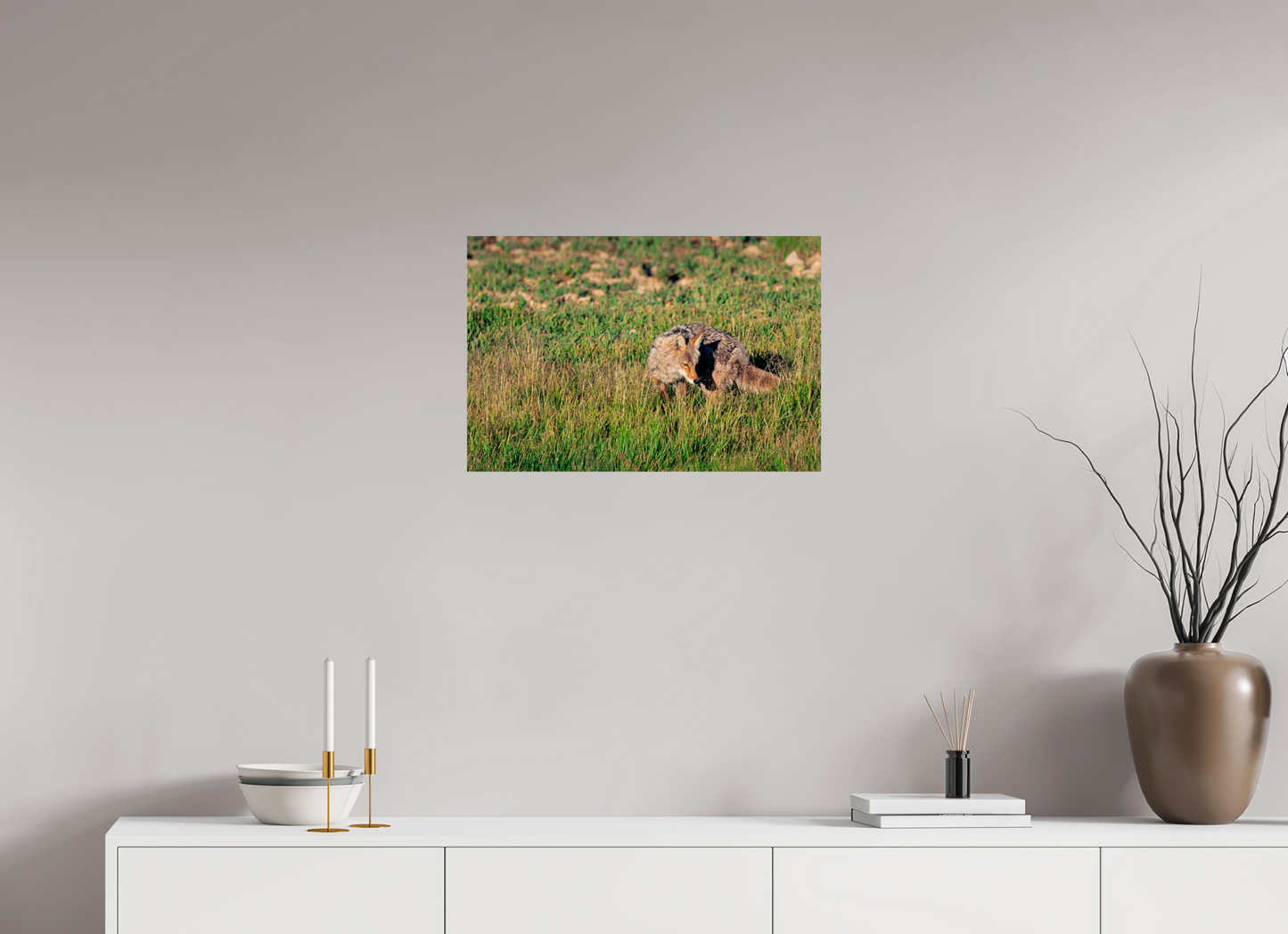 24 x 16″, Photo Print Coyote | Yellowstone National Park Fine Art Print