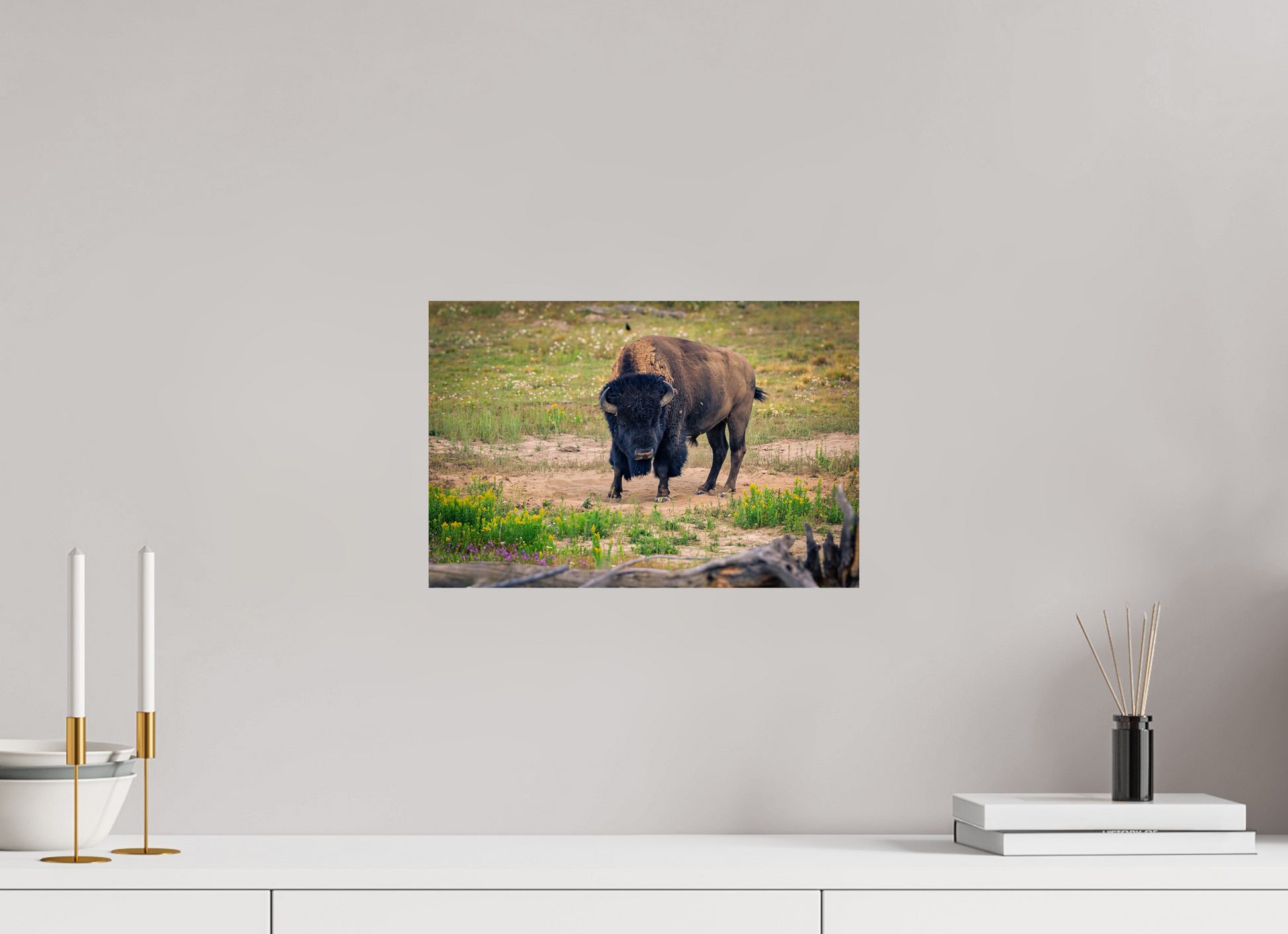 15 x 10″, Photo Print Bison | Yellowstone National Park Fine Art Print