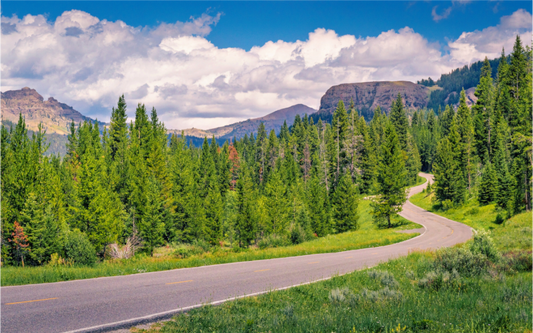 Road to Beartooth | Yellowstone National Park Fine Art Print