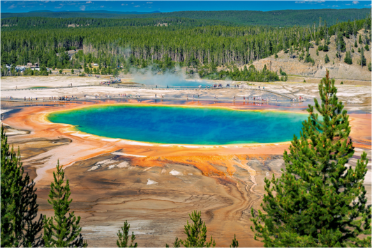 Grand Prismatic Spring | Yellowstone National Park Fine Art Print