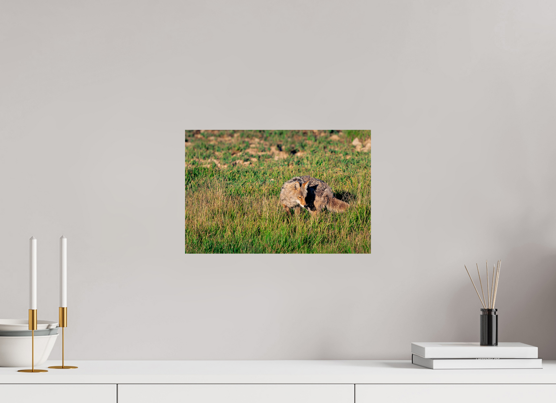 15 x 10″, Photo Print Coyote | Yellowstone National Park Fine Art Print