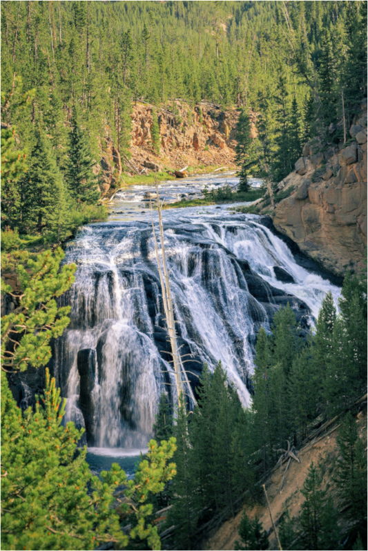 Gibbon Falls | Yellowstone National Park Fine Art Print