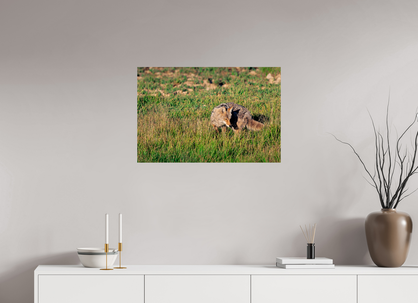 30 x 20″, Photo Print Coyote | Yellowstone National Park Fine Art Print