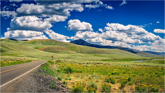 Lamar Valley | Yellowstone National Park Fine Art Print