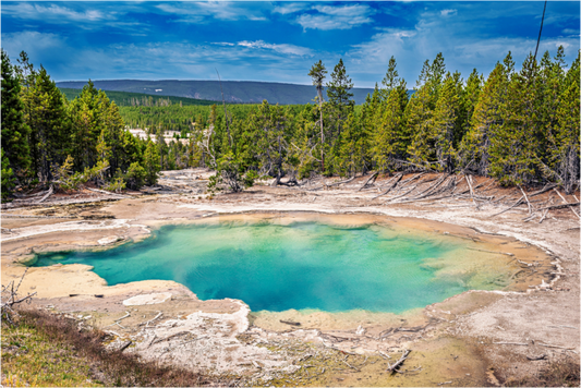 Emerald Spring | Yellowstone National Park Fine Art Print