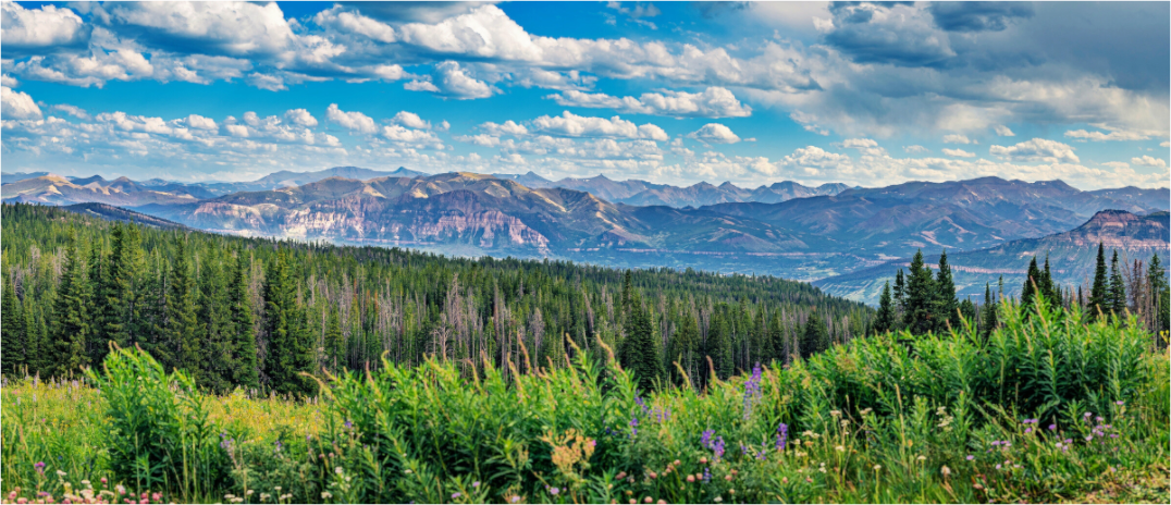 Main image Absaroka Vista
